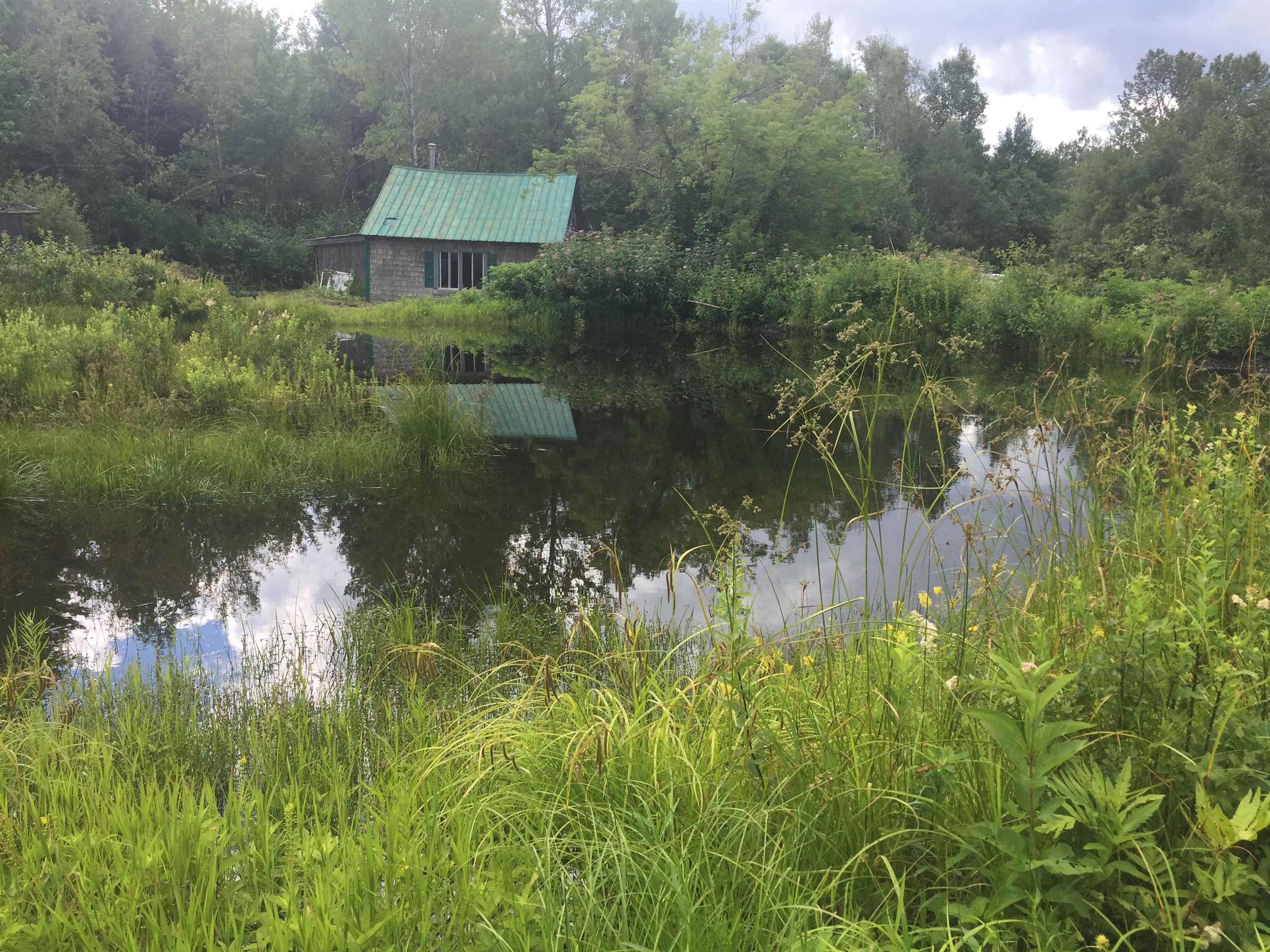 691 Gore Road Newport Town, VT 05857 - Photo 1 of 24 Gallery Image 1