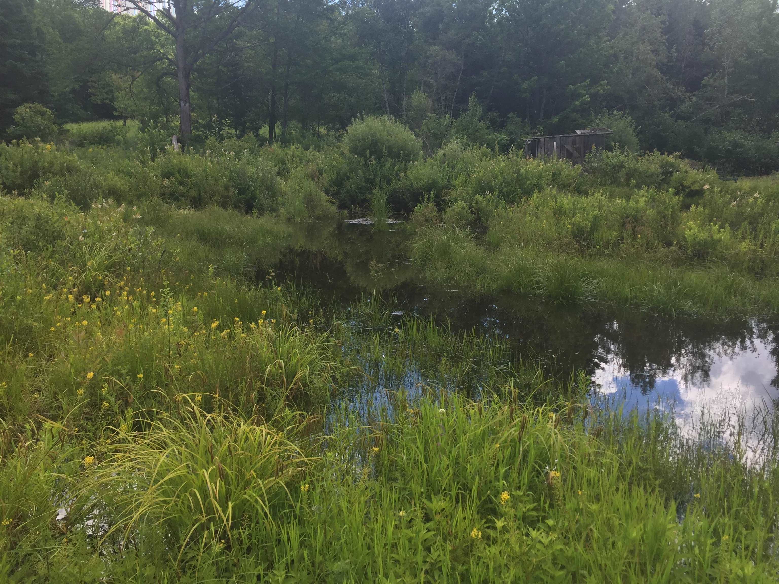 691 Gore Road Newport Town, VT 05857 - Photo 17 of 24 Gallery Image 17