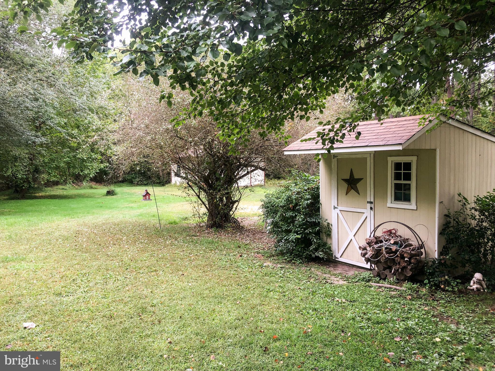 405 New Road Southampton, NJ 08088 - Photo 31 of 39 a view of a yard with plants and a large tree