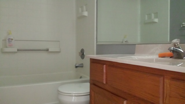 1663 Liberty Street Hanover Park, IL 60133 - Photo 11 of 15