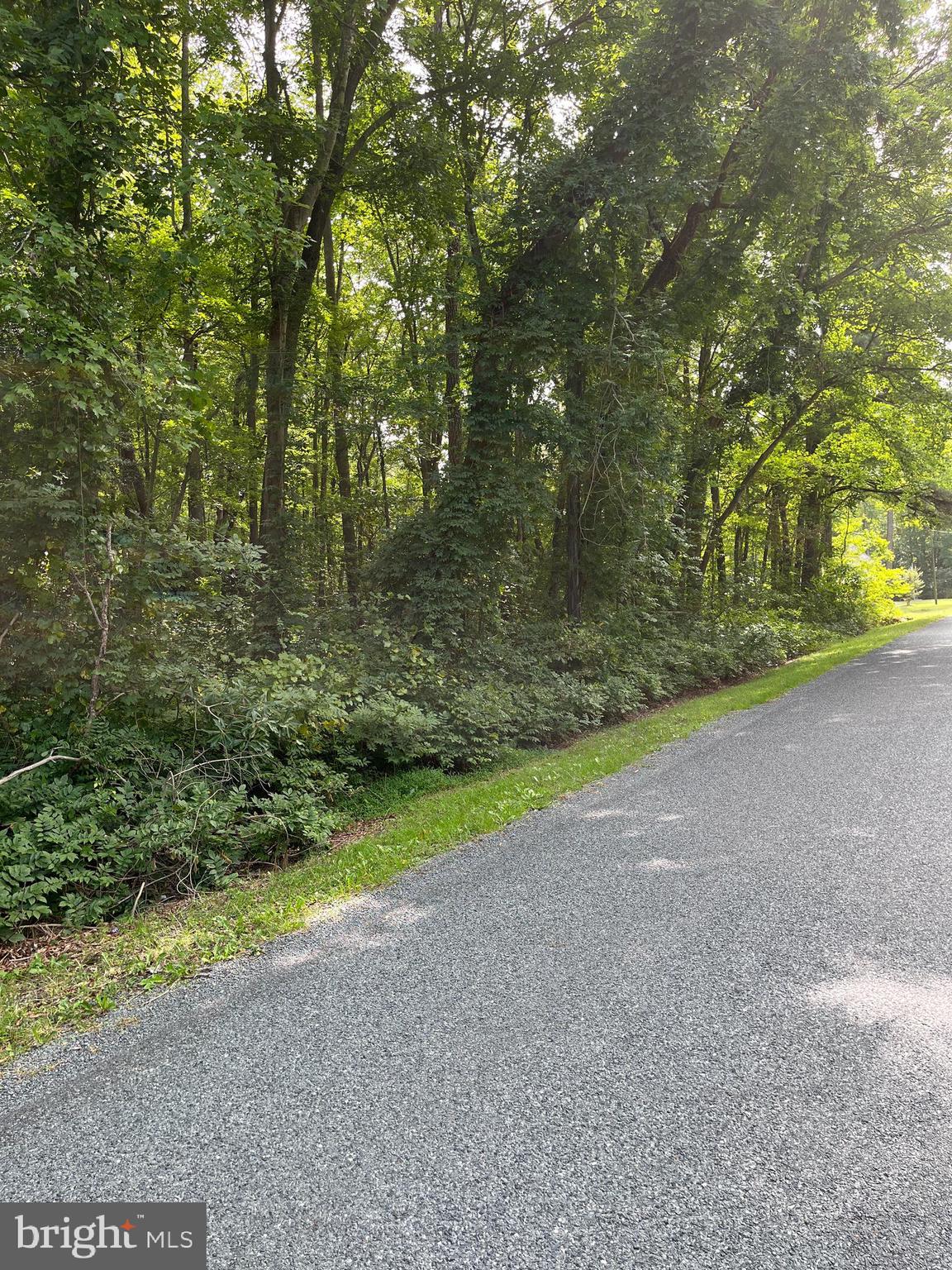 0 Jesterville Road Tyaskin, MD 21865 - Photo 1 of 3