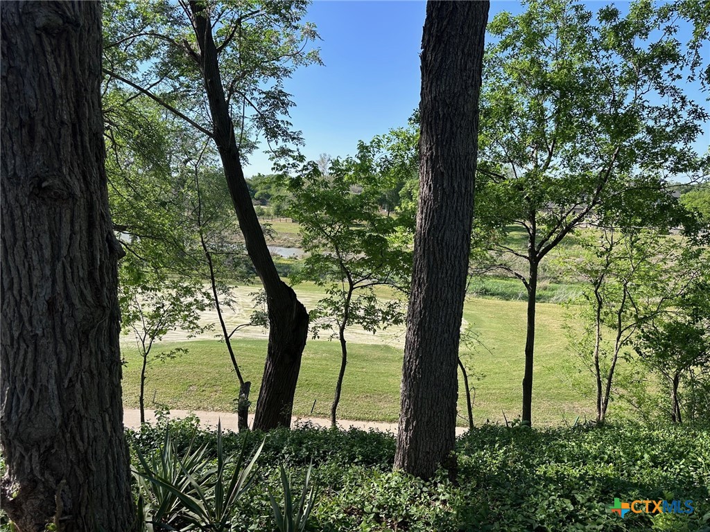 1910 Old Mill Road, Unit 7 Salado, TX 76571 - Photo 16 of 16