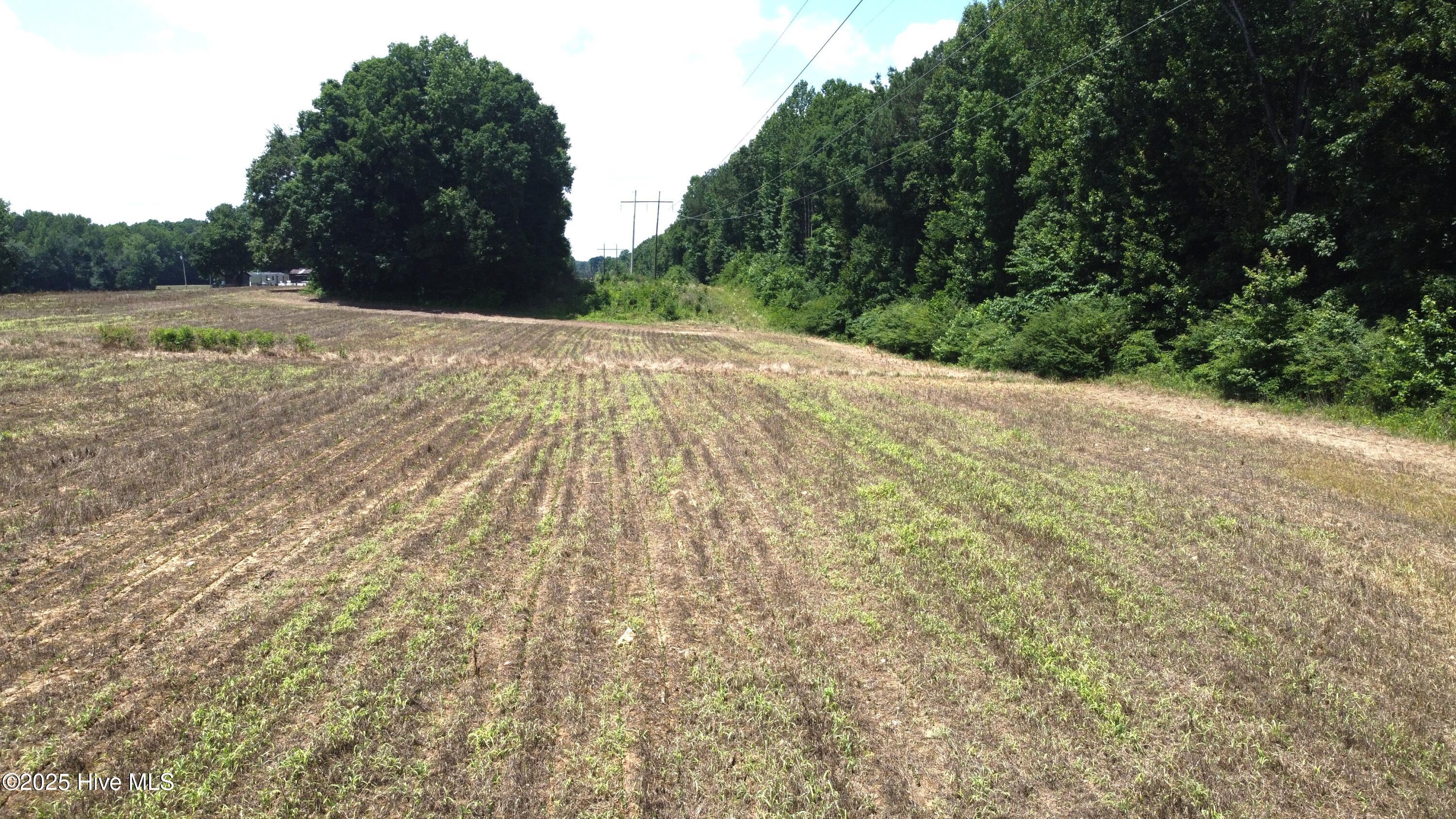 0 Jackson Road Nashville, NC 27856 - Photo 12 of 15 DJI_0064