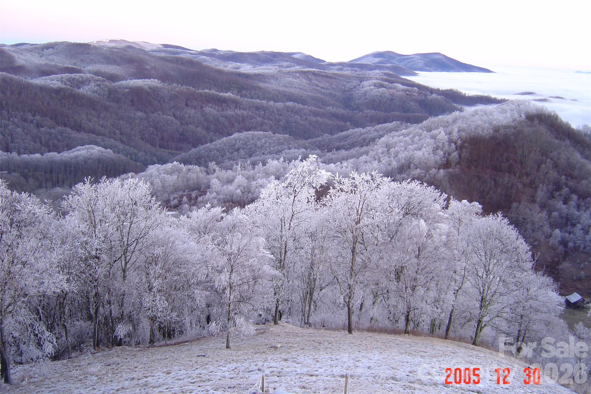 1050 Turkey Trot Road Clyde, NC 28721 - Photo 20 of 22