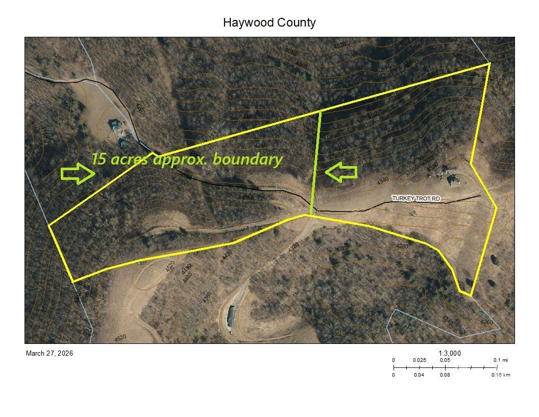 1050 Turkey Trot Road Clyde, NC 28721 - Photo 3 of 22