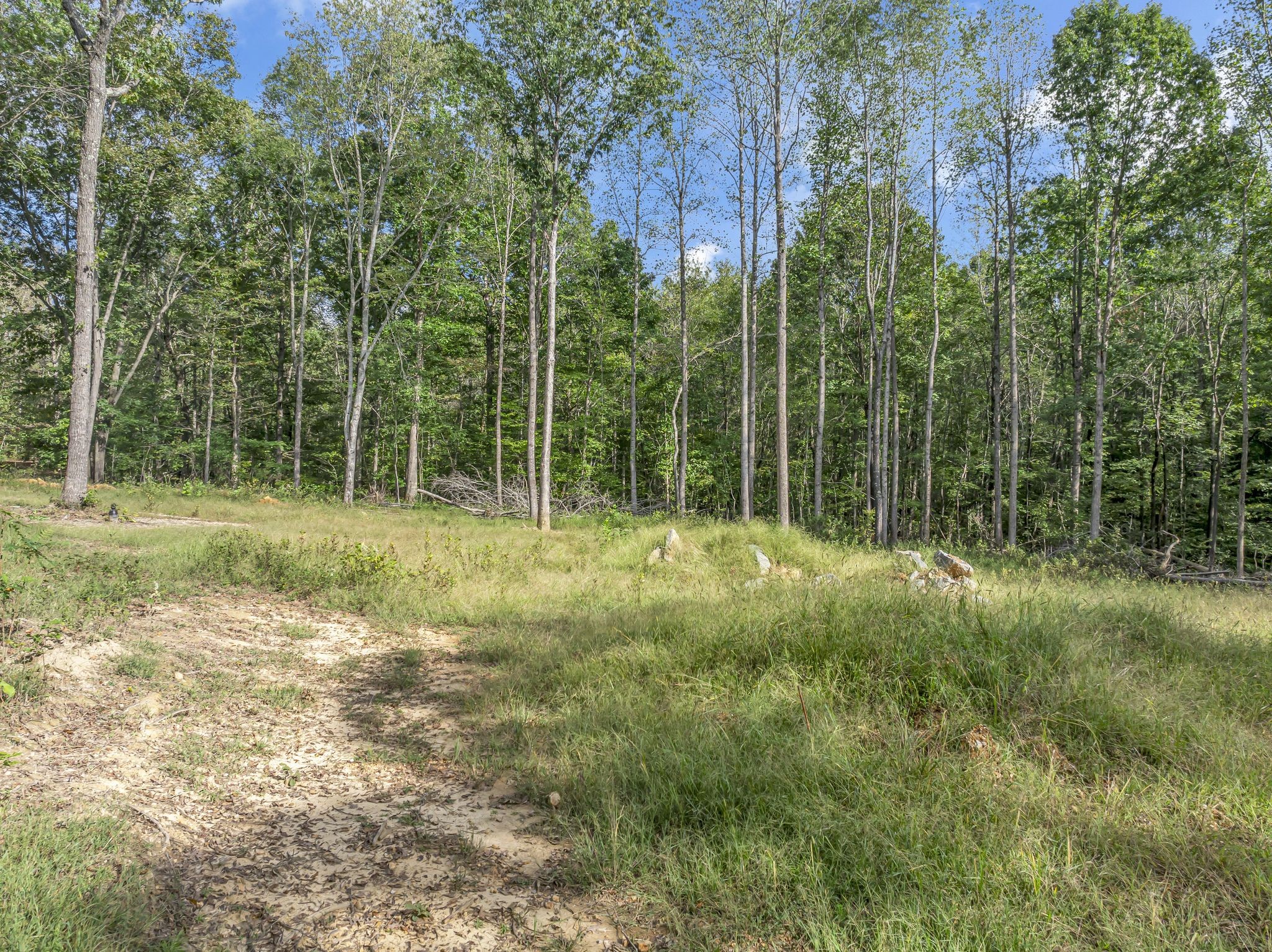 1865 West Grab Creek Road Dickson, TN 37055 - Photo 8 of 14 Gallery Image 8
