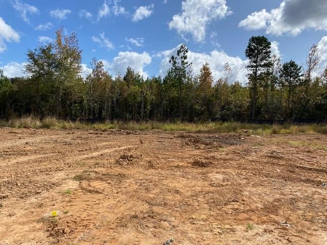 822 Casey Street Moncks Corner, SC 29461 - Photo 15 of 24 Marion Lot 5 Backyard