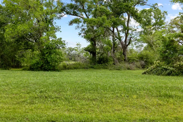 a view of a table and chairs in the garden