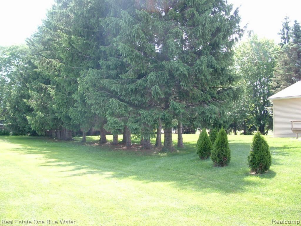 12952 Burt Road Emmett, MI 48022 - Photo 32 of 32 DSCF0727.jpg