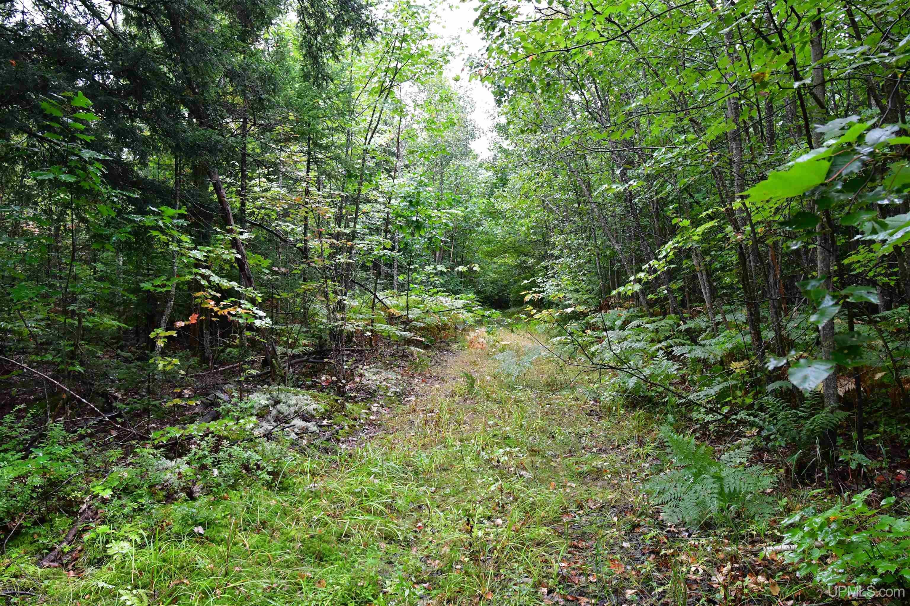 23 East 23 Mile Road Pickford, MI 49774 - Photo 42 of 58 Gallery Image 42