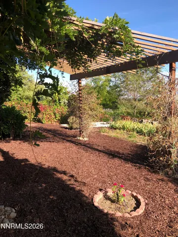 a view of a yard with plants and large tree