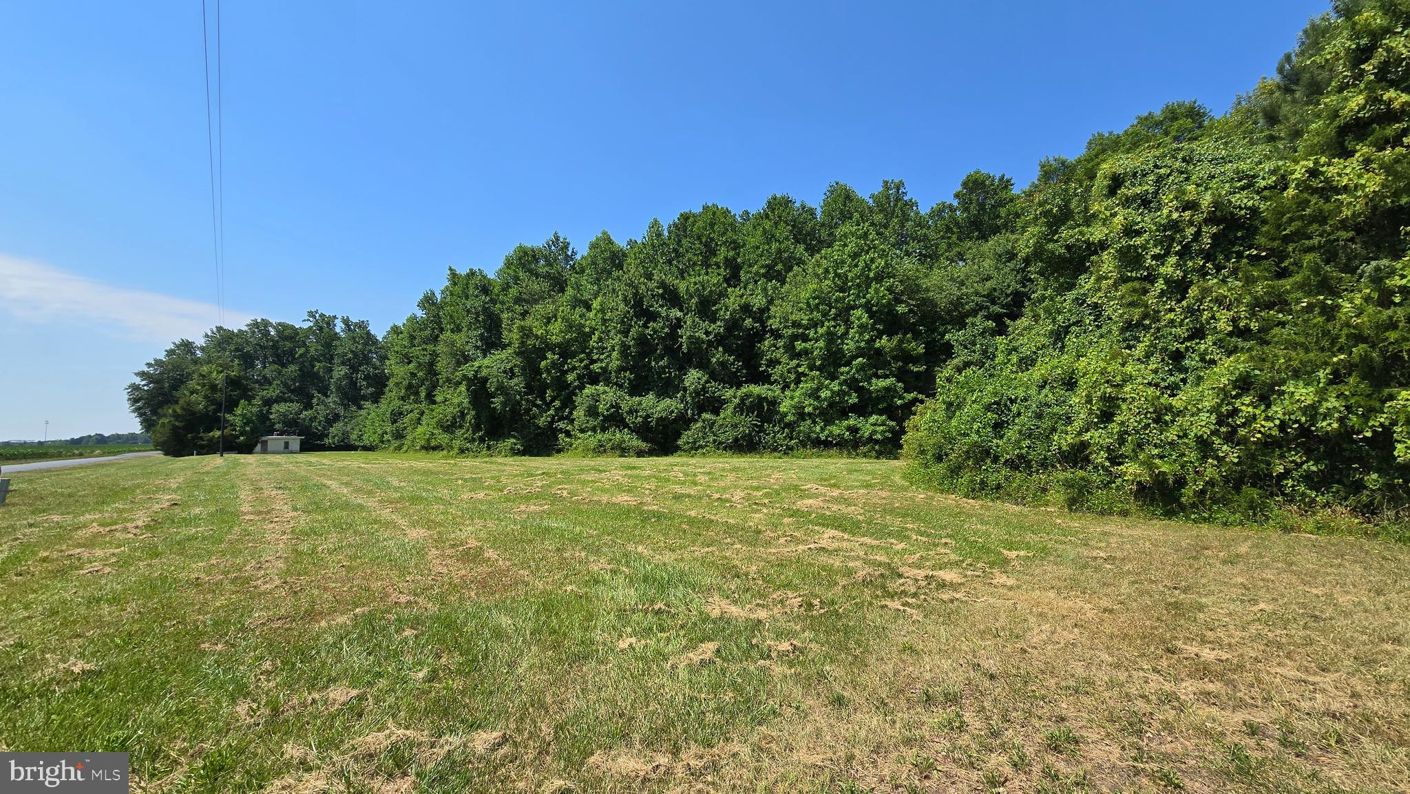 12760 Cow Barn Road Ridgely, MD 21660 - Photo 6 of 21 Gallery Image 6