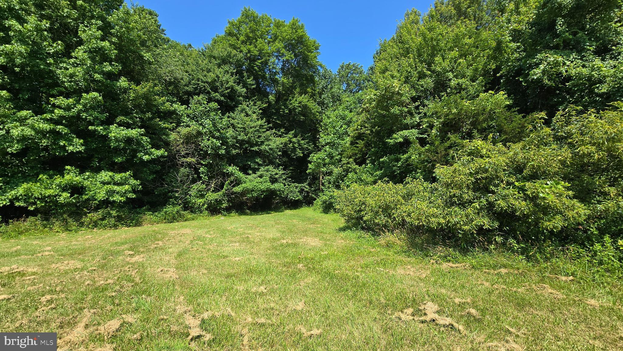 12760 Cow Barn Road Ridgely, MD 21660 - Photo 7 of 21 Gallery Image 7