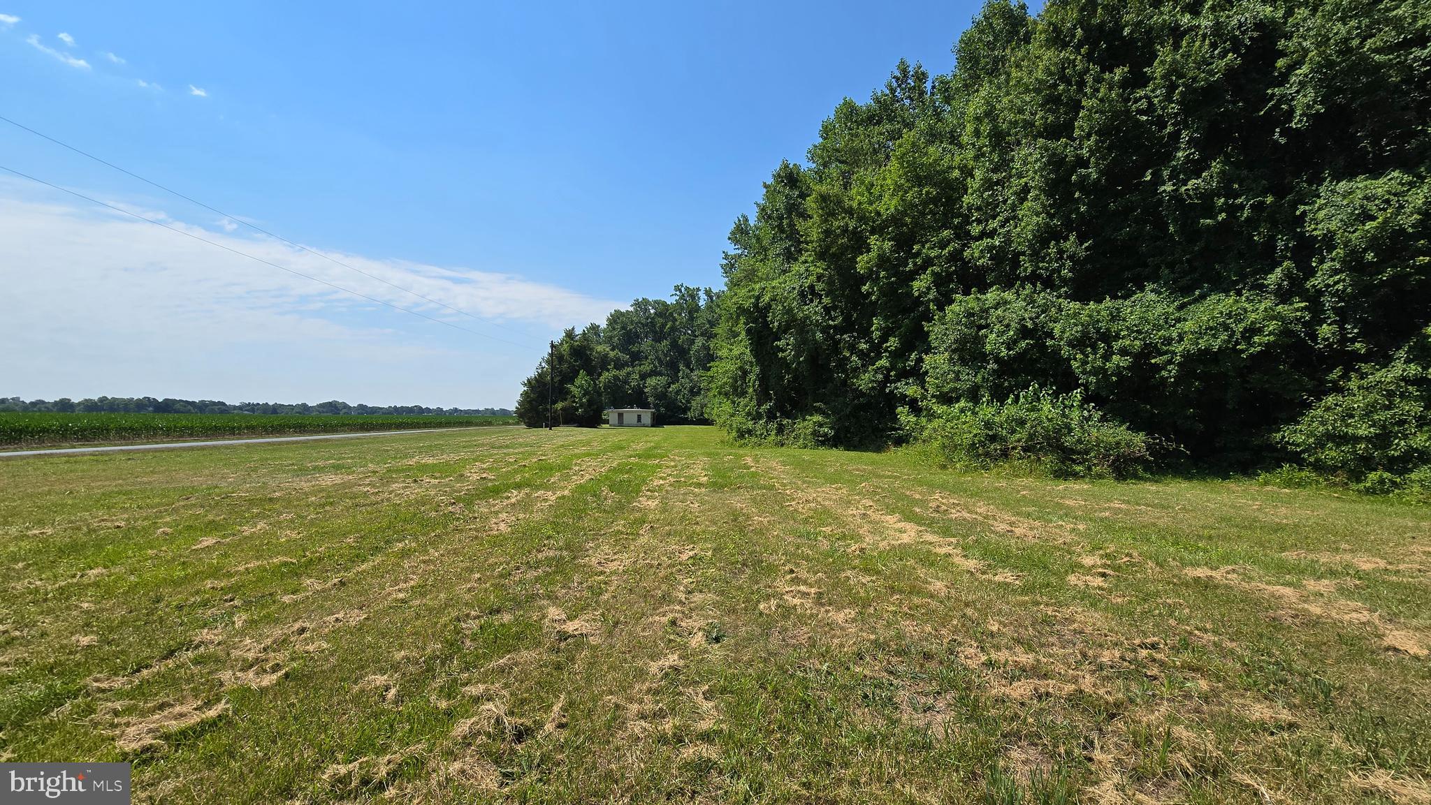 12760 Cow Barn Road Ridgely, MD 21660 - Photo 8 of 21 Gallery Image 8
