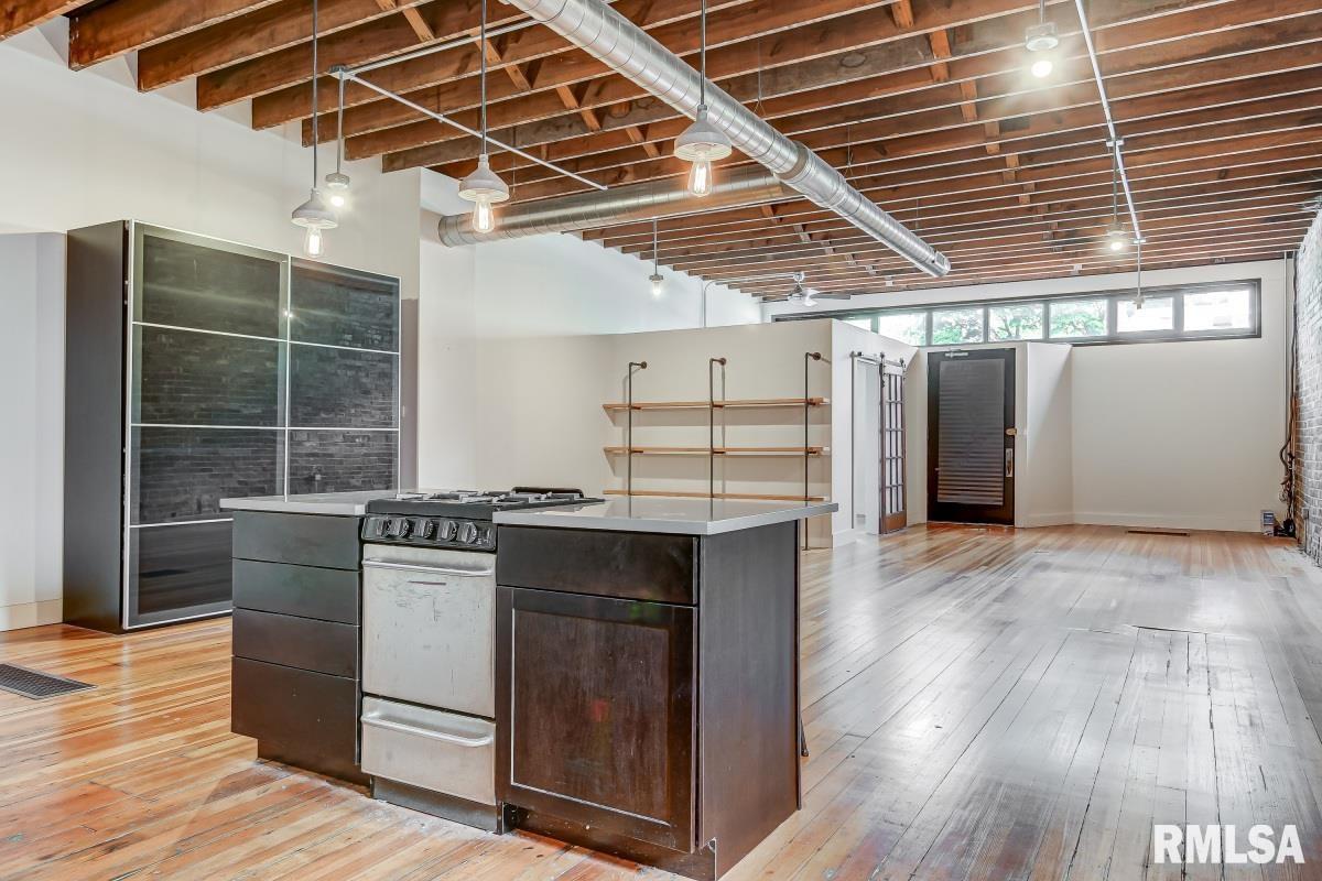 300 West Allen Street Springfield, IL 62704 - Photo 7 of 24 Gallery Image 7