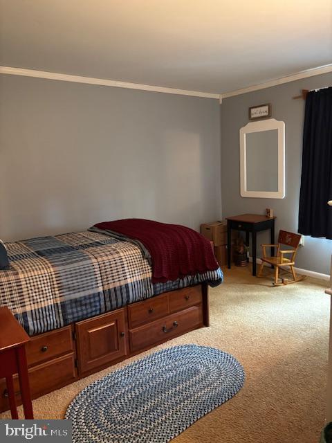 123 Tracy Berg Road Lancaster, PA 17603 - Photo 10 of 27 a bedroom with furniture and a window
