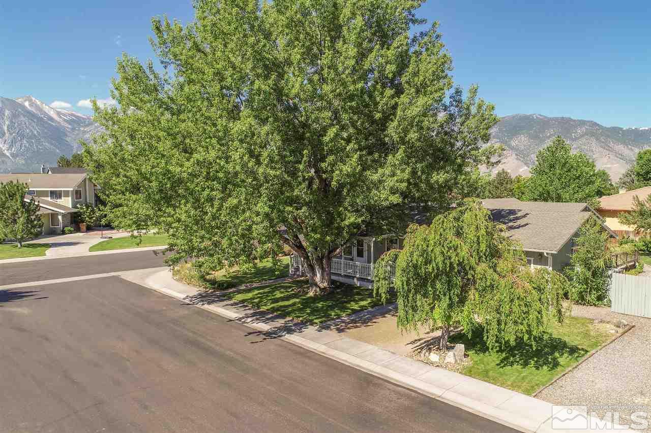 1604 Olua Street Minden, NV 89423 - Photo 4 of 25 Photo 4