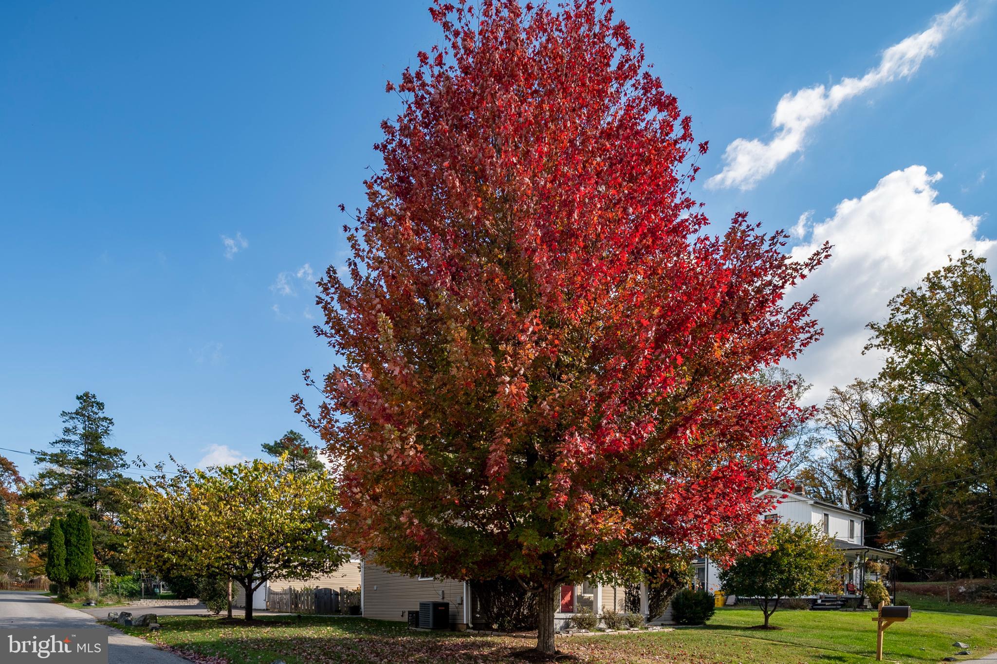 2201 Alvin Avenue Baltimore, MD 21228 - Photo 3 of 39 a view of a city view