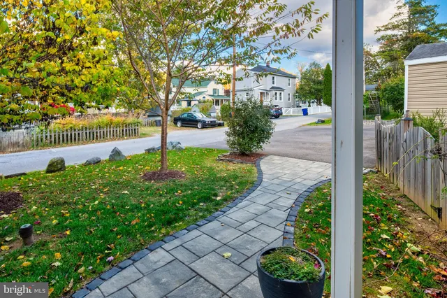 a view of a backyard with potted plants and large tree
