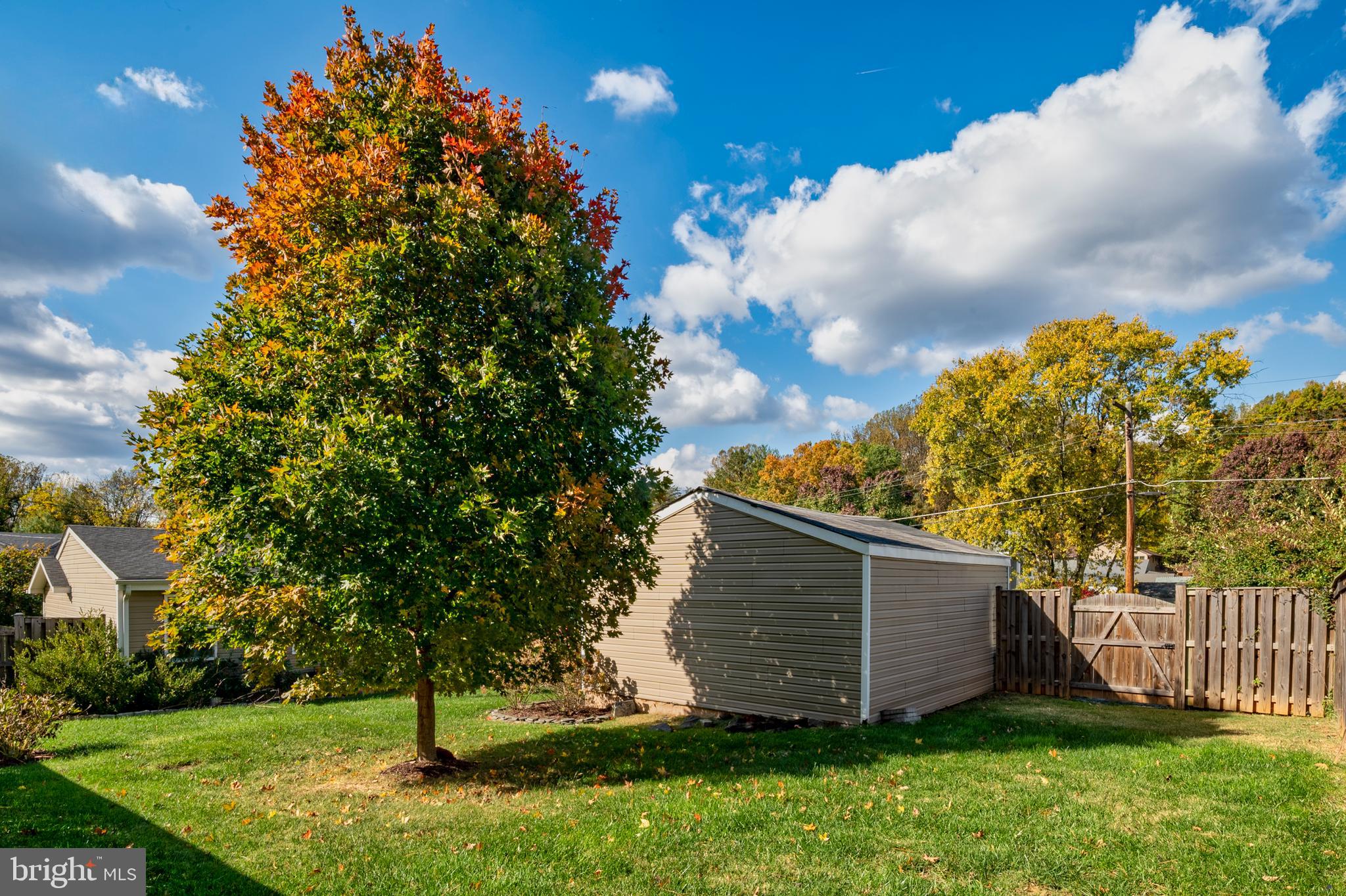 2201 Alvin Avenue Baltimore, MD 21228 - Photo 35 of 39 a view of backyard with green space