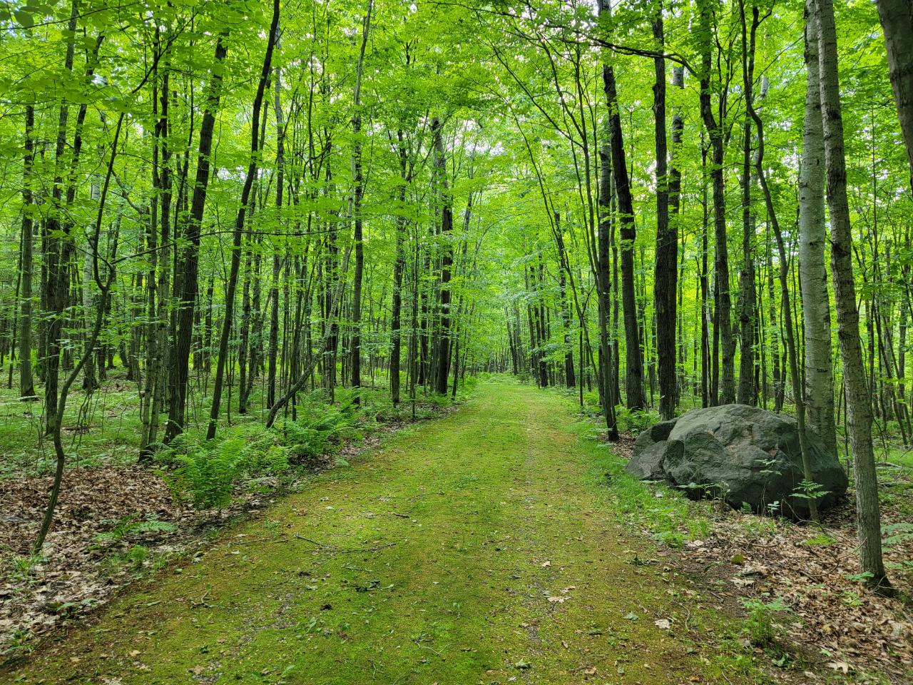 Lot 11 Deer Path Lane Tomahawk, WI 54487 - Photo 25 of 25 Gallery Image 25