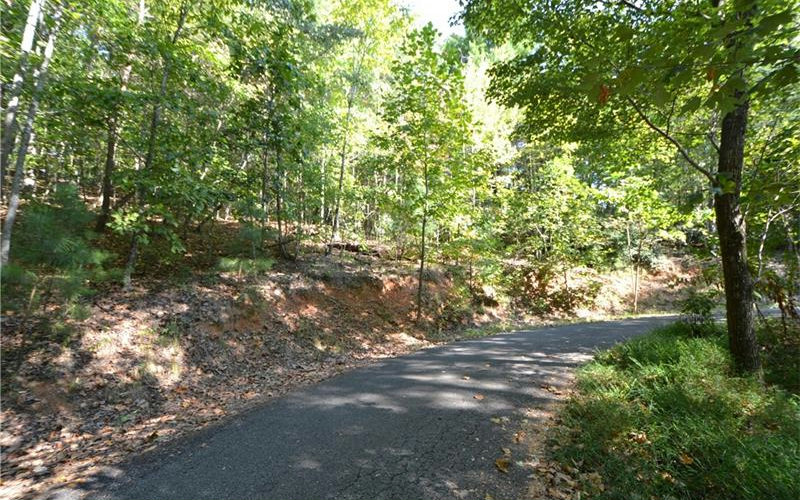1 A Tater Tot Road Jasper, GA 30143 - Photo 1 of 1 Main View