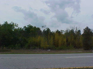0 Highway 25 Augusta, GA 30901 - Photo 1 of 1