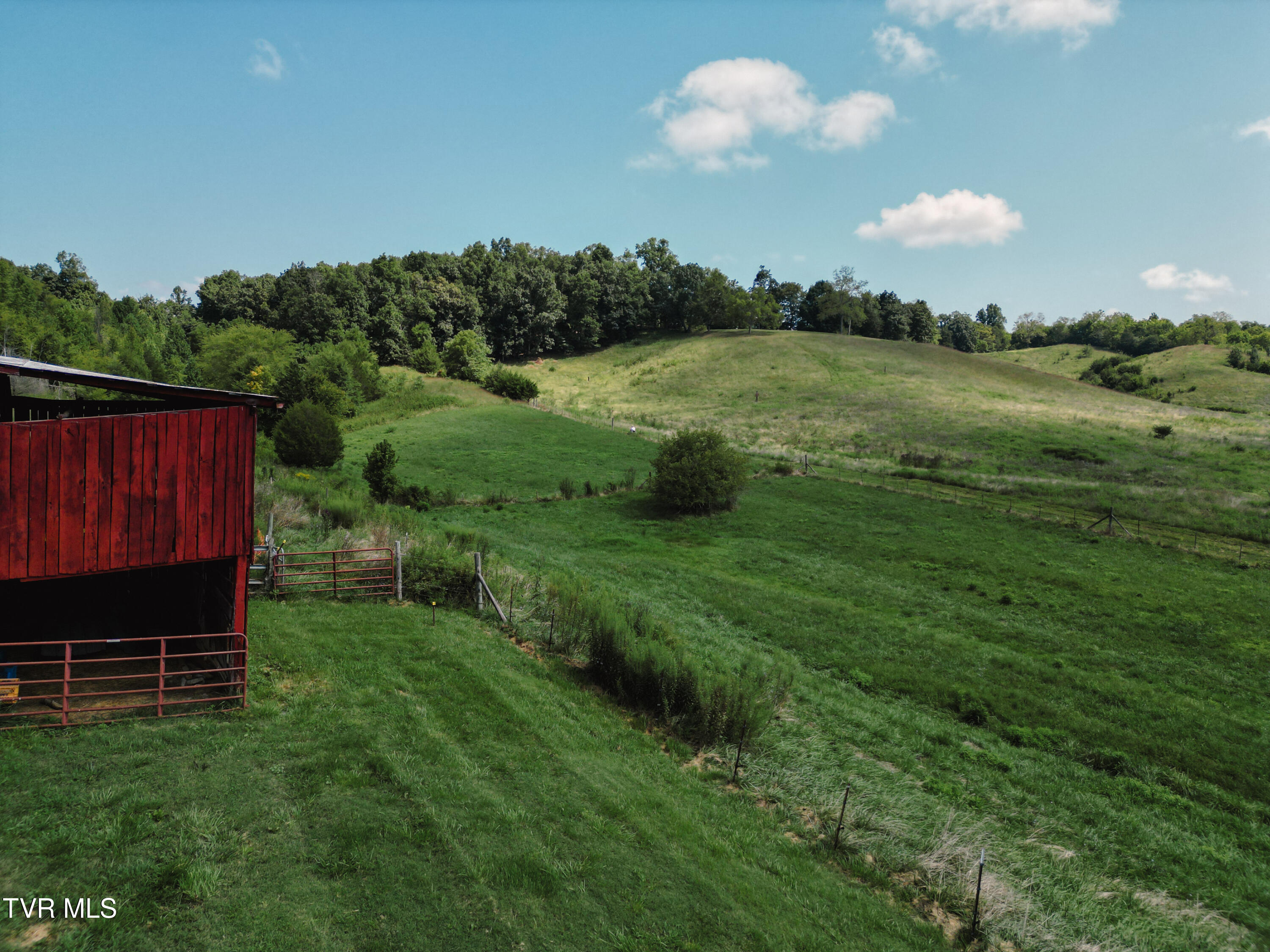 475 Doc Hawkins Road Greeneville, TN 37745 - Photo 15 of 61 20230310-DJI_0628