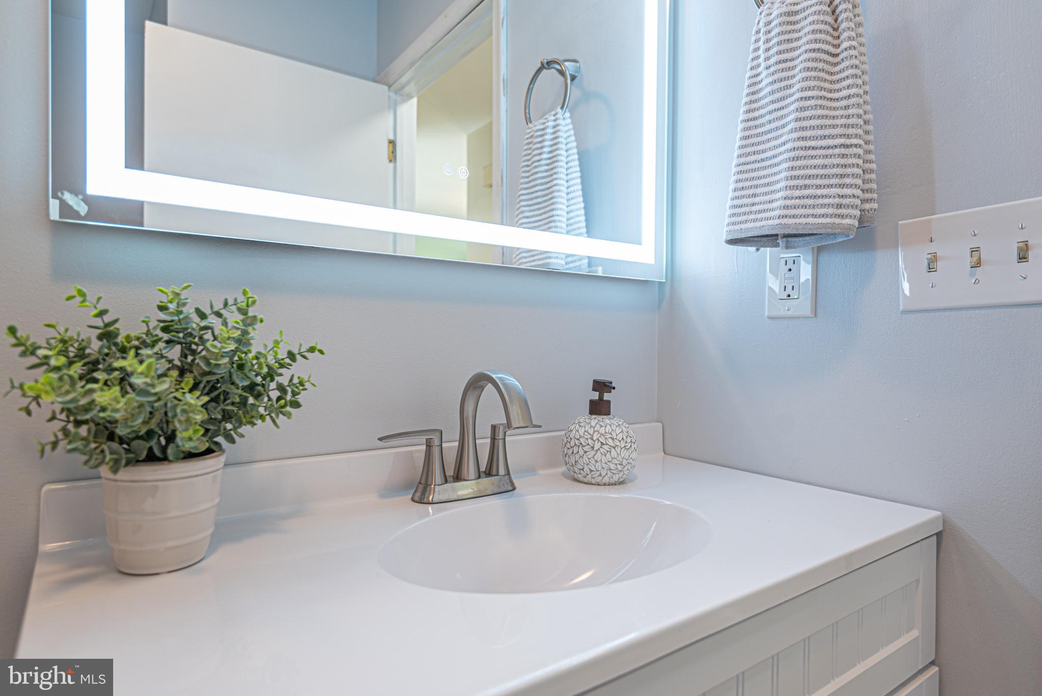 74 Birdnest Drive Ocean Pines, MD 21811 - Photo 43 of 89 a close view of sink and a potted plant