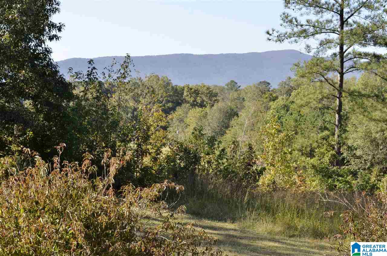 516 Wilson Mine Road Piedmont, AL 36272 - Photo 29 of 35