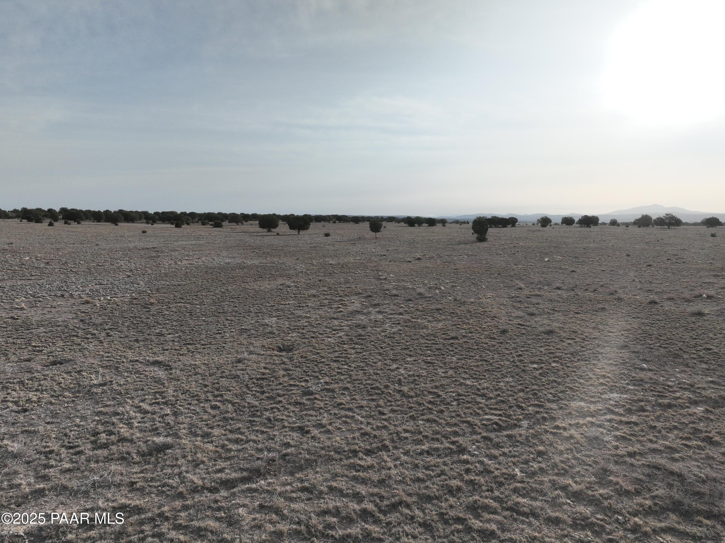 DJI_20250329074233_0049_V