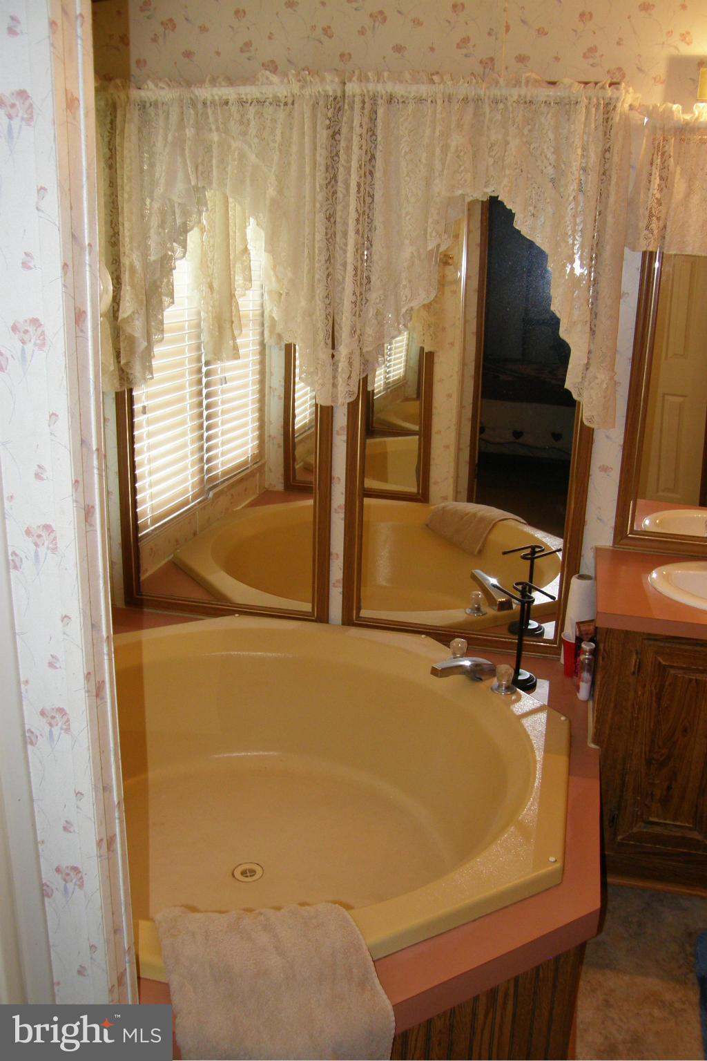 7471 Harmony Road Preston, MD 21655 - Photo 26 of 30 Bath (Master)