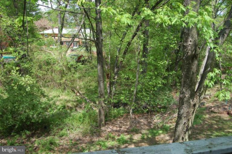 13114 Broadmore Road Silver Spring, MD 20904 - Photo 19 of 22 a backyard of a house with lots of green space