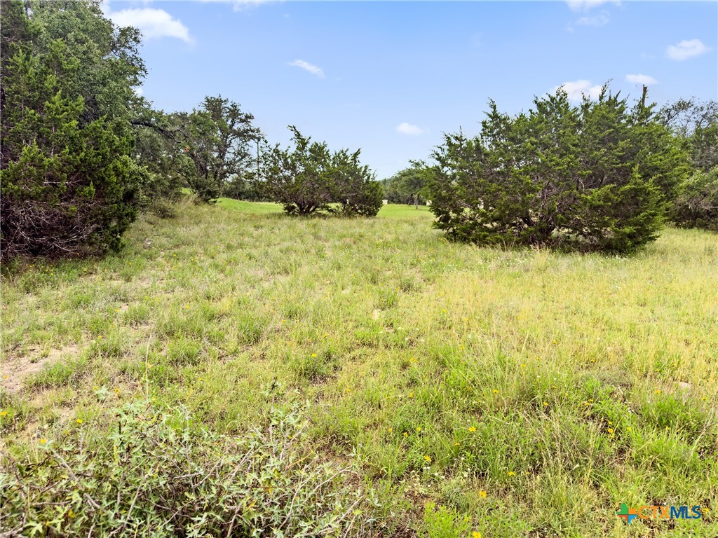141 Vista View Place Spring Branch, TX 78070 - Photo 8 of 32