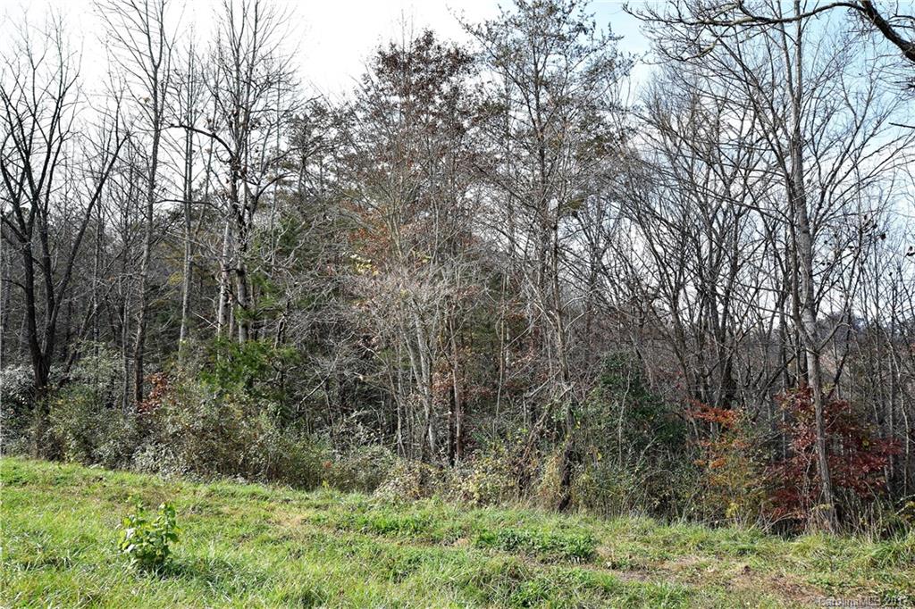 None None Quin Holcombe Road Whittier, NC 28789 - Photo 2 of 2
