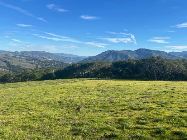 a view of an ocean from a yard