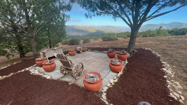 a view of a patio with table and chairs potted plants and a large tree