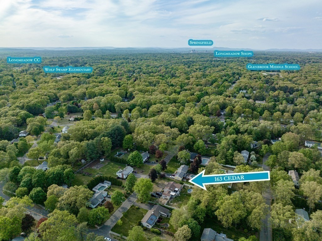 163 Cedar Road Longmeadow, MA 01106 - Photo 39 of 39 a view of a green field