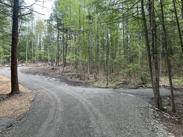 0 Route 114 North Sutton, NH 03260 - Photo 3 of 13