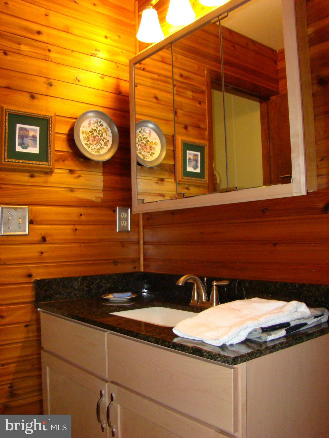 3100 Ross Road St. Leonard, MD 20685 - Photo 17 of 23 a bathroom with a sink and a mirror
