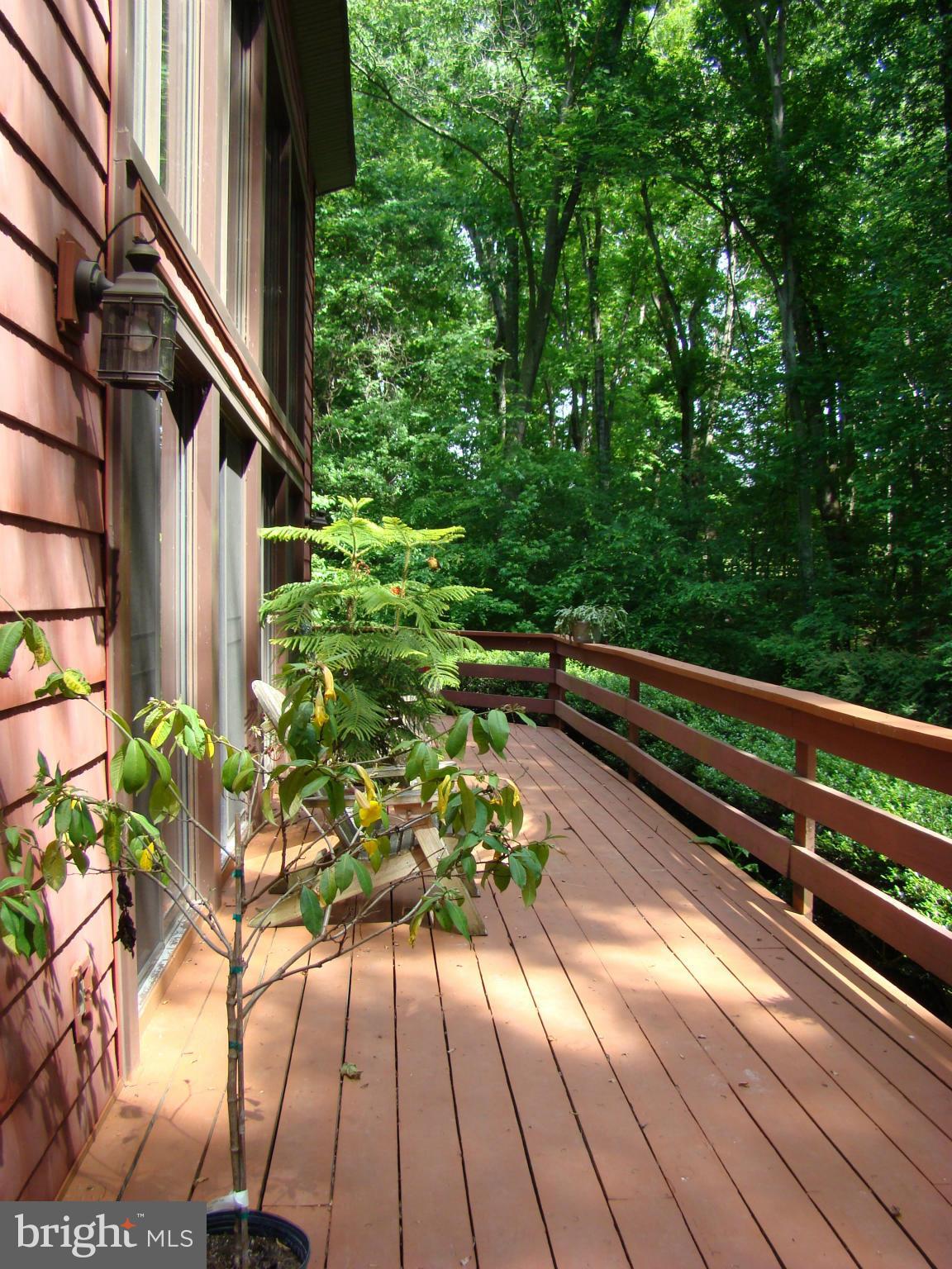 3100 Ross Road St. Leonard, MD 20685 - Photo 21 of 23 a view of outdoor space with a patio