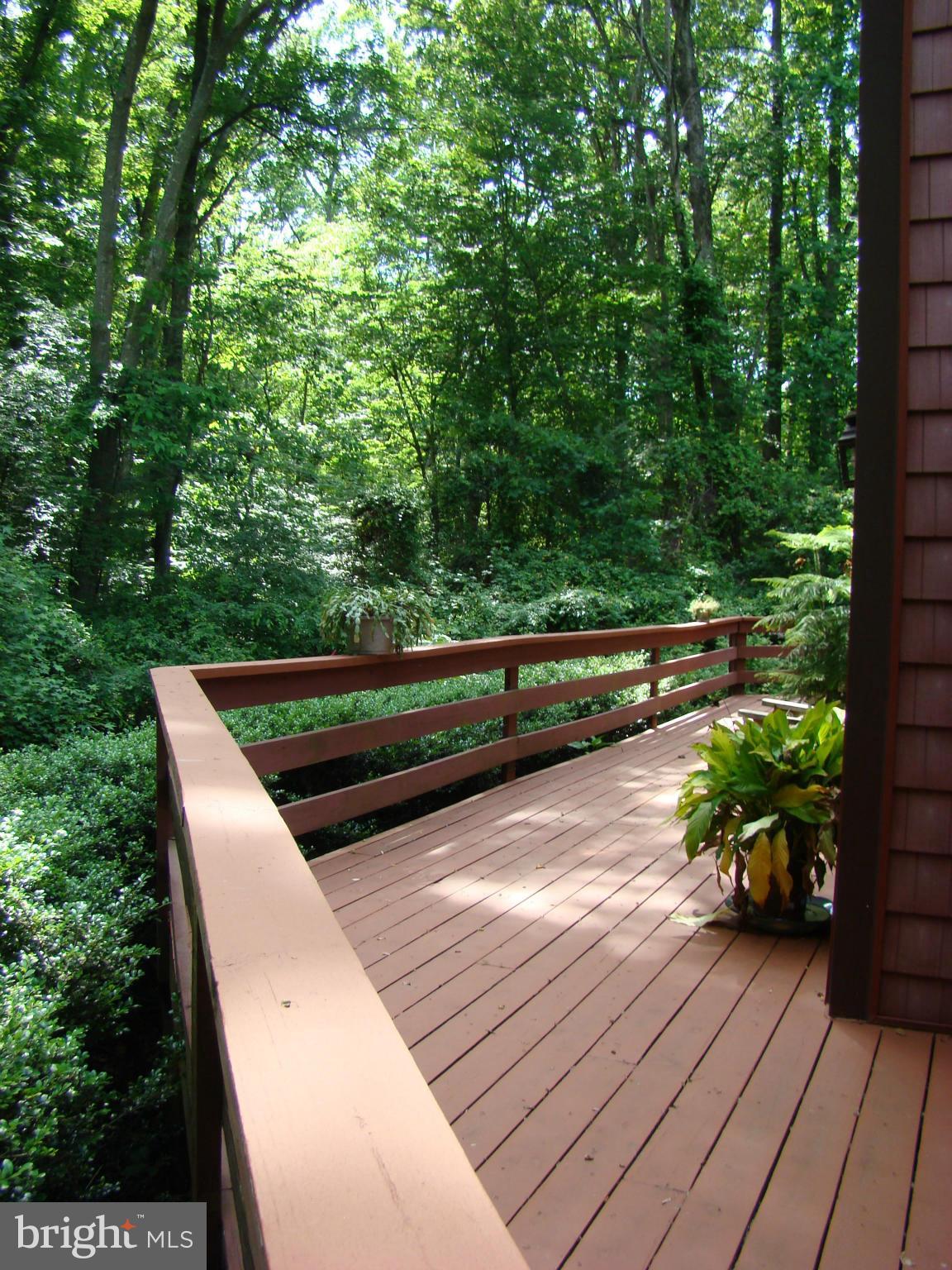 3100 Ross Road St. Leonard, MD 20685 - Photo 22 of 23 a view of a wooden bench in a backyard