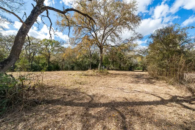 a view of backyard space