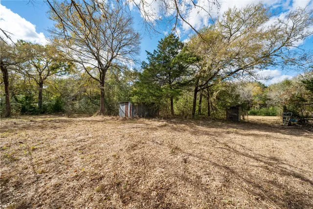 a view of a yard with plants and trees