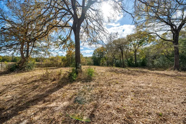 a view of a yard with trees