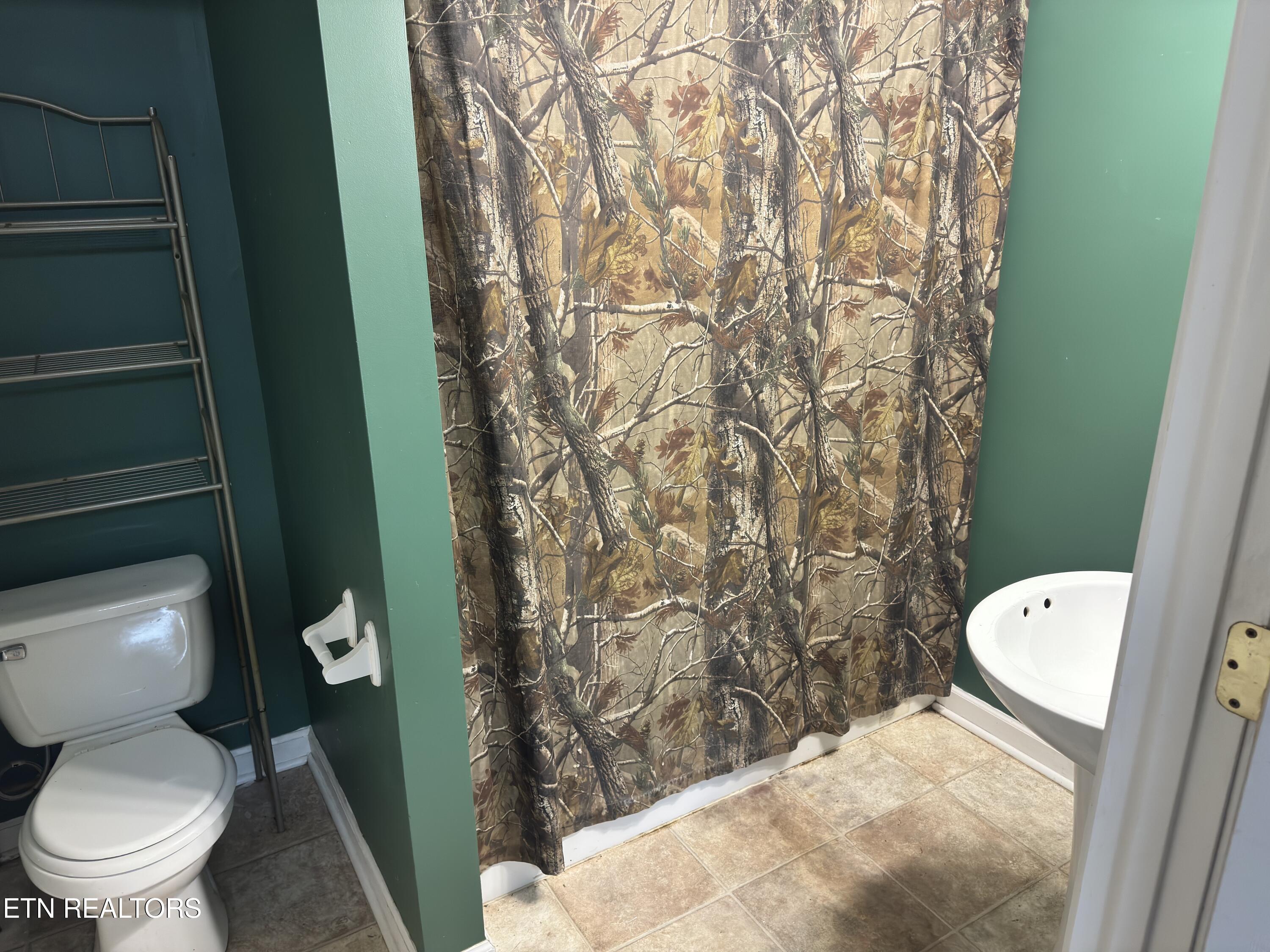 211 Jamie Street Maynardville, TN 37807 - Photo 12 of 27 2025-05-19 16.13.09