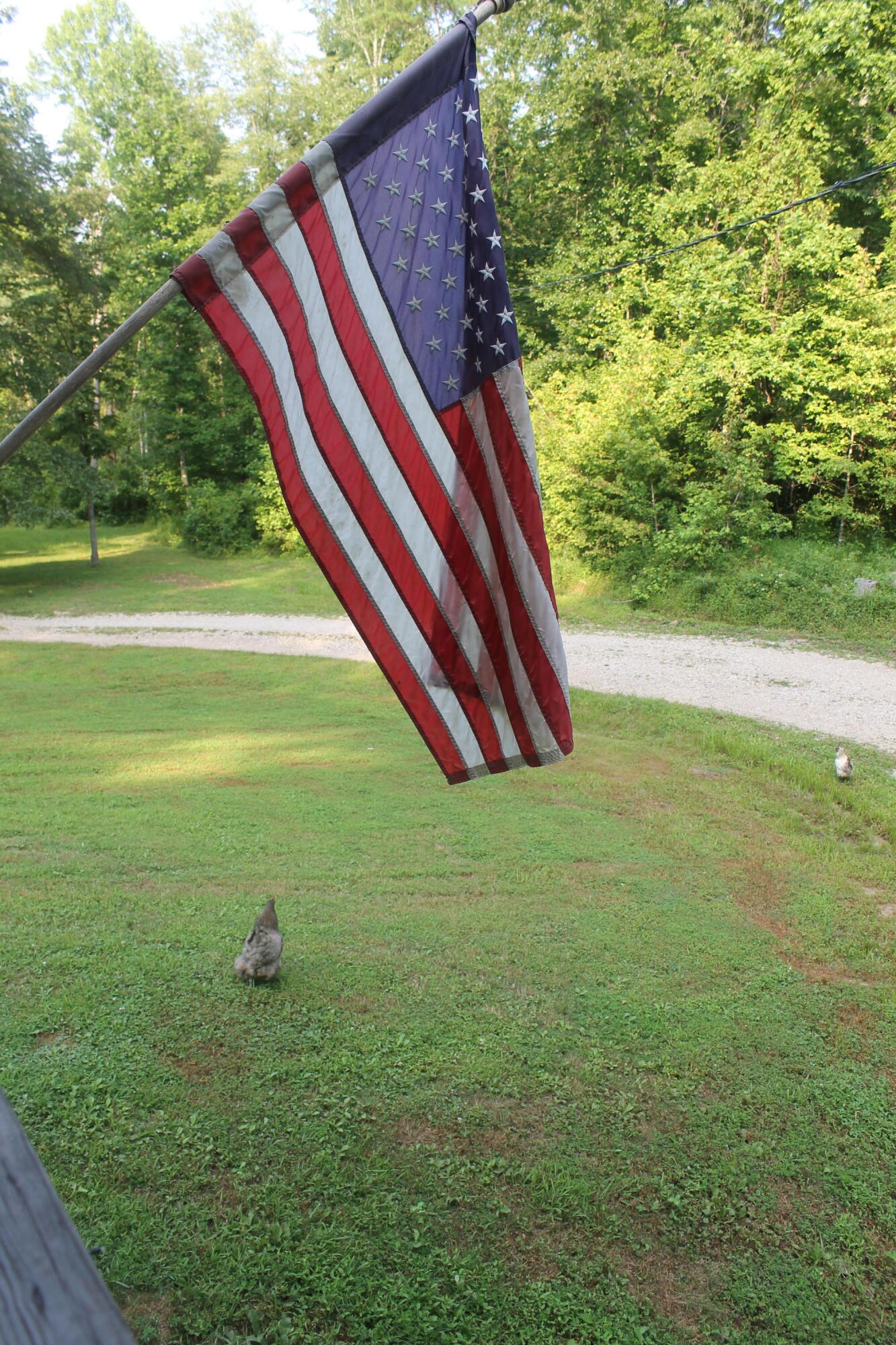 1253 Elk Lick Road Salt Lick, KY 40371 - Photo 22 of 22 22
