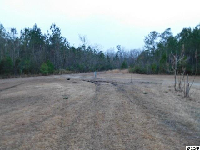 7035 Long Horne Ranch Drive Loris, SC 29569 - Photo 3 of 25