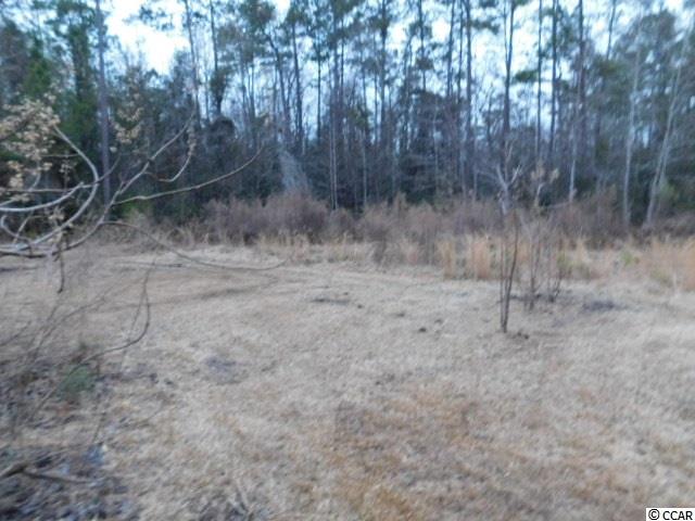 7035 Long Horne Ranch Drive Loris, SC 29569 - Photo 4 of 25