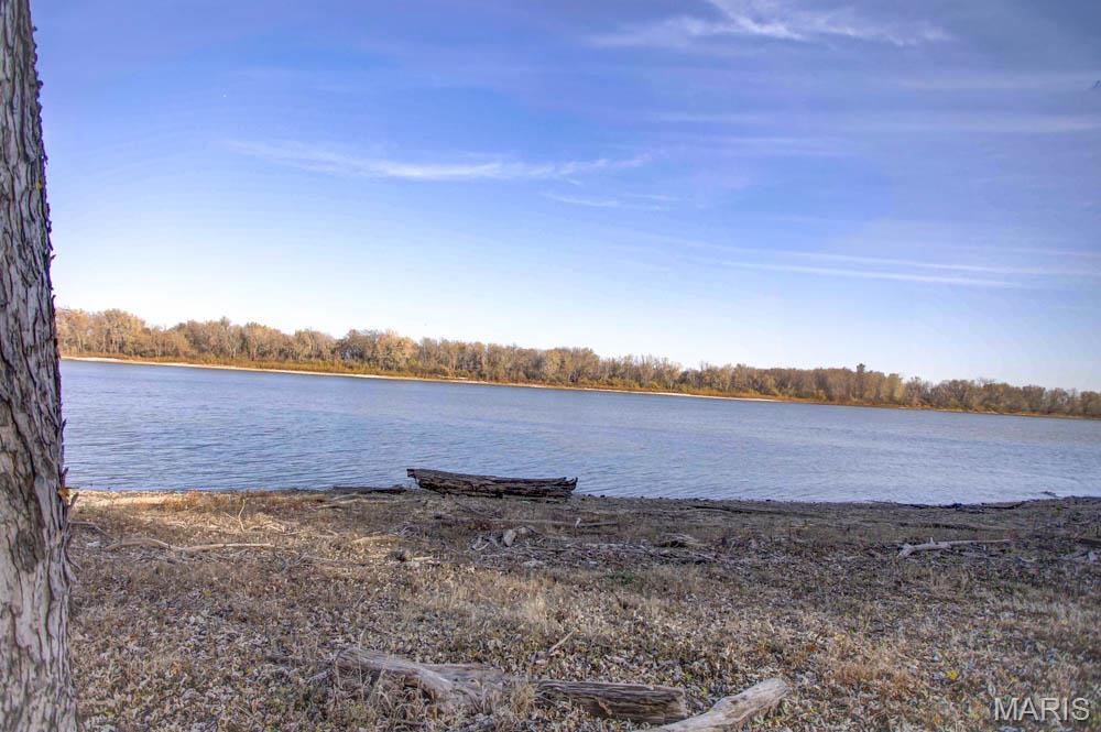 141 Alexander Lane Eldred, IL 62027 - Photo 8 of 23